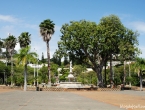 Place des cocotiers.