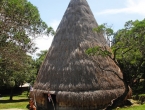 Case au Centre Culturel Tjibaou