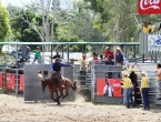 Rodéo sur cheval.