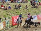 Bulldogging pour les jeunes et les femmes, qui consiste à attraper la cocarde du veau.