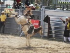 Rodéo sur cheval.