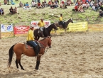 Les pickup men, gros boulot pour eux : ils doivent récupérer les rodeo men sur leurs cheveaux, ramener le cheval / veau / boeuf dans les box, assurer la sécurité etc...