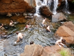 Pause repas près d'une cascade