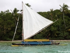 Pirogue traditionnelle dans la Baie d'Upi