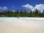 Piscine Naturelle de la baie d'Oro