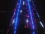Illuminations du sapin géant.