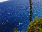 Repérage district nord de Lifou