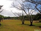 Repérage district nord de Lifou