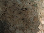 Chauves-souris dans la Grotte du Diable