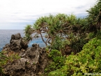 Les falaises de Xodre