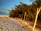 Coucher de soleil sur la plage