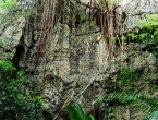 Grottes de Koumac