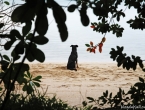 Plage du Relais de Poingam