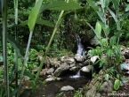 Cascade dans le jardin