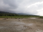 Paysage de début de mangrove