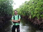 Mangrove