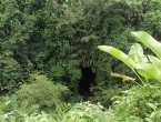 La grotte du millénaire : Millenium Cave !