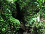 Millenium Cave