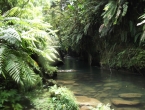 Nage et crapahutage dans le canyon