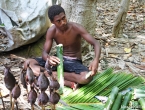 Cuisine vanuataise