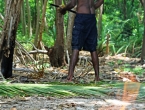 Cuisine vanuataise