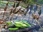 Cuisine vanuataise