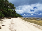 Balade sur la plage