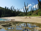 La baie des tortues.