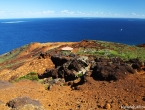 Poste d'observation des baleines