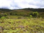 Plateau de Dogny