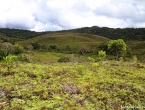 Plateau de Dogny