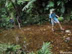 En direction de la cascade