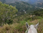 Rando à cheval dans la chaîne