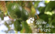 Vidéo - Fête de l'avocat à Maré !
