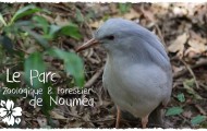 Vidéo - Le Parc Zoologique et Forestier